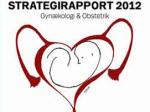 Strategirapport 2012